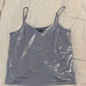 Silver Shimmer V-Neck Top